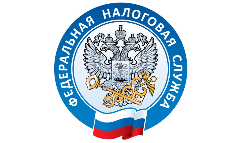 Как взаимодействовать с Налоговой службой дистанционно.