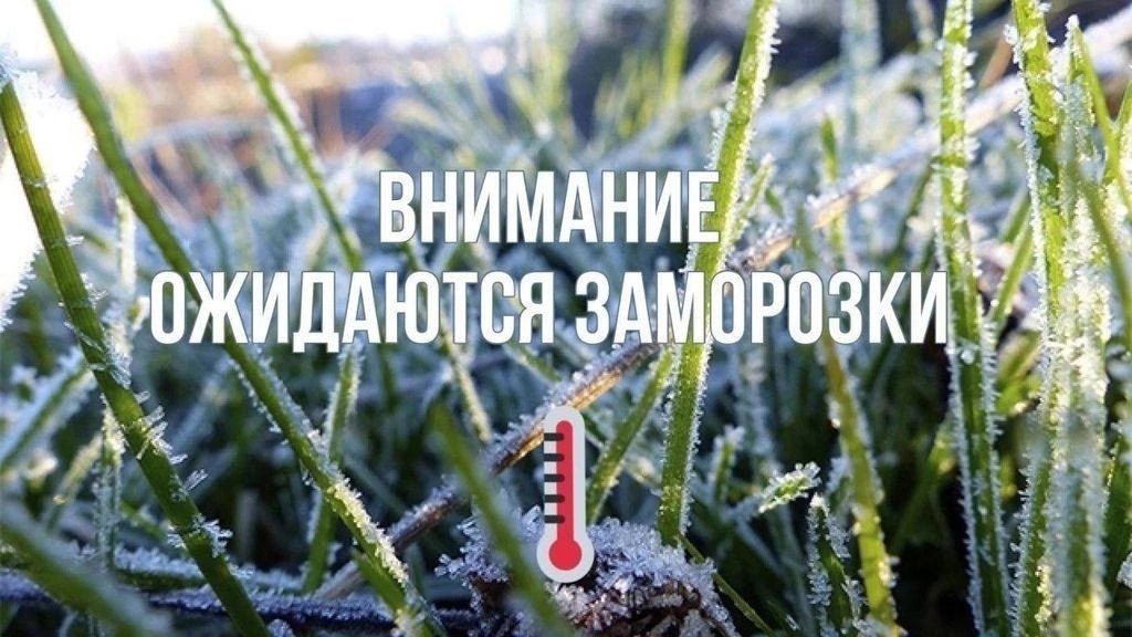 Оперативное предупреждение.
