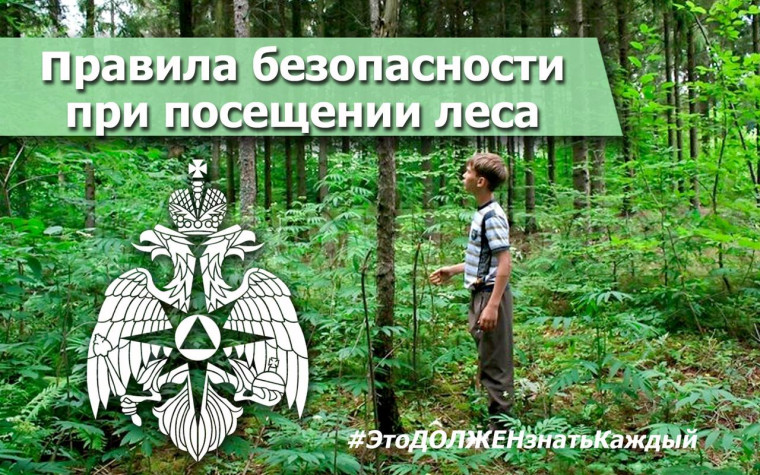 Спасатели призывают жителей региона следовать правилам безопасности при посещении леса. Спасатели призывают жителей региона следовать правилам безопасности при посещении леса.